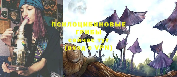 гашик Баксан