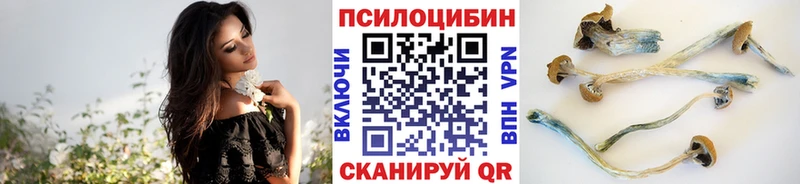 Галлюциногенные грибы ЛСД  Красный Холм 